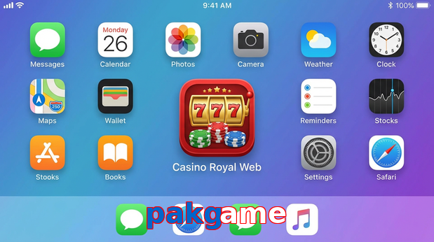 Payment and PKR controls in Pakgame